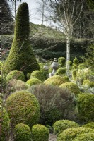 Box garden with clipped yew and birch tree at Lower House, Powys in March