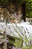 Pot of lavender with set garden table in the background - Lavender summer party story