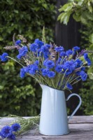 Centurea cyanus - Cornflowers arranged with wild grasses in blue enamel jug on table