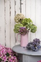 Mixed Hydrangea macrophylla flower heads displayed in pink vase on grey table