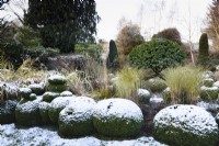 Box Garden with a central clipped Portuguese laurel, Prunus lusitanica, with a sprinkling of snow in December.