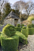 Knot Garden with box topiary at Cotswold Farm Gardens in February.