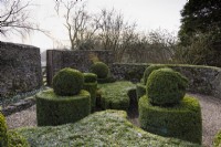 Clipped box in the Knot Garden at Cotswold Farm in February.