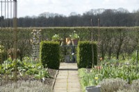 Path leading to table with terracotta filled with tulips in kitchen garden.