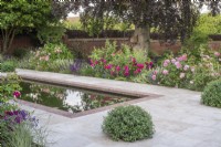 Brick edged rectangular pool on terrace of sandstone paving.  Border plants inc:  David Austin roses; Salvia nemorosa 'Caradonna', Lavender, Ballota and Pittosporum topiary balls around pool.