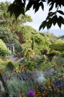 View over a sloping garden towards the sea in July