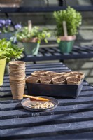 Sweetcorn 'Early Bird' seeds and fibre pots filled with compost laid out on bench