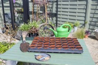 Swiss chard 'Rainbow' and Spinach Beet seeds, on table with potting tray, compost, sieve and watering can