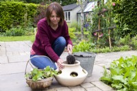 Woman placing compost in the strawberry planter
