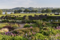 Sunrise view over the gravel garden towards Blagdon Lake with cows grazing in field - mixed planting perennial flower beds with Alliums, Irises, ornamental grasses and bronze fennel