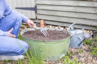 Woman using fork to carefully turn the compost so that the seeds are buried just beneath the surface