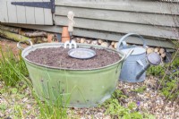 Large metal basin filled with compost with small tray of wildflower seeds on top