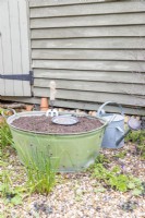 Large metal basin filled with compost with small tray of wildflower seeds on top