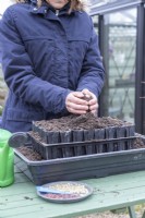 Woman placing compost over the root trainers