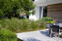 Block planting of grasses in bed next to modern terrace