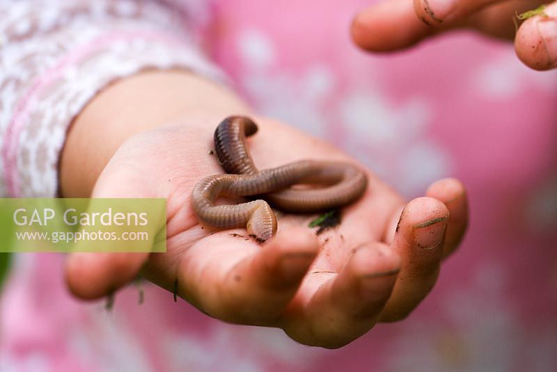 Young girl holding an earth worm
