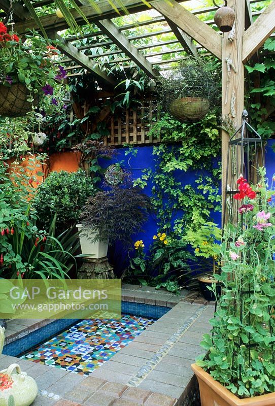Mediterranean style courtyard garden with raised pool and blue painted wall - Loggia, Canopy, Sweet peas on obelisk in container -Brighton