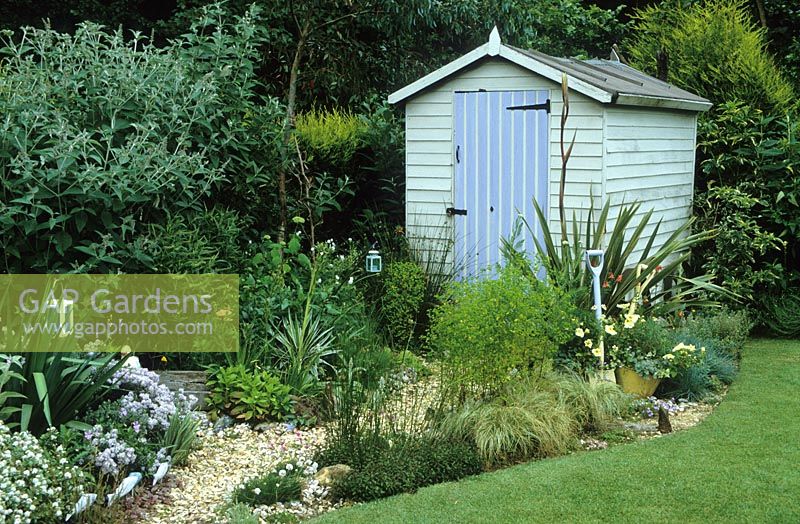 Gravel path leading to painted shed in seaside themed garden with Eryngiums, yuccas and phormium. Decorative use of painted spades