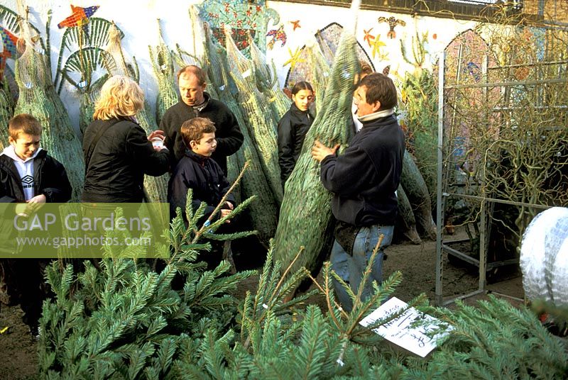 Selling fir trees for christmas at Columbia Road Flower Market