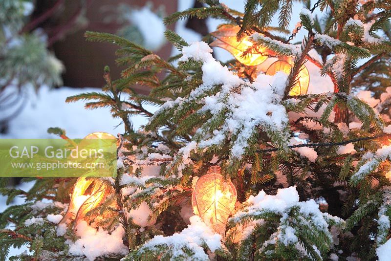Fairy lights on a Christmas tree in a snow covered garden 
