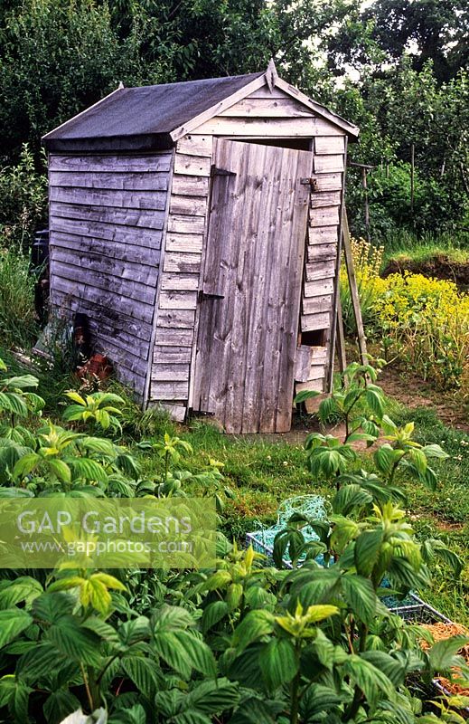 Rickety old wooden shed in local allotments Passfield, Hampshire 