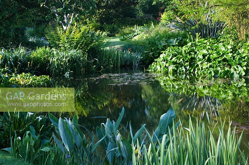 The Water Gardens - Beth Chatto's Garden