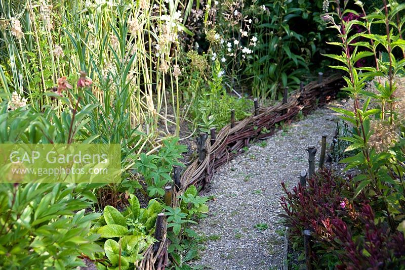 Gravel path edged with woven willow hurdles through herbaceous borders