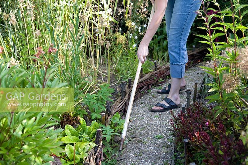 Weeding path using triangular garden hoe