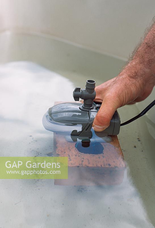 Installing a pond pump. Step 6. Fill the pond with just enough water before lowering the pump into position in the pond. If you lower the pump slowly, this will allow any air bubbles formed to escape from it