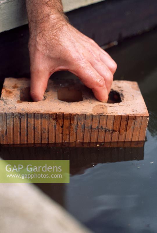 Installing a pond pump. Step 3. To make sure that plants are set at the right level within the pond, bricks can be used as blocks or shelves on which the containers can be placed