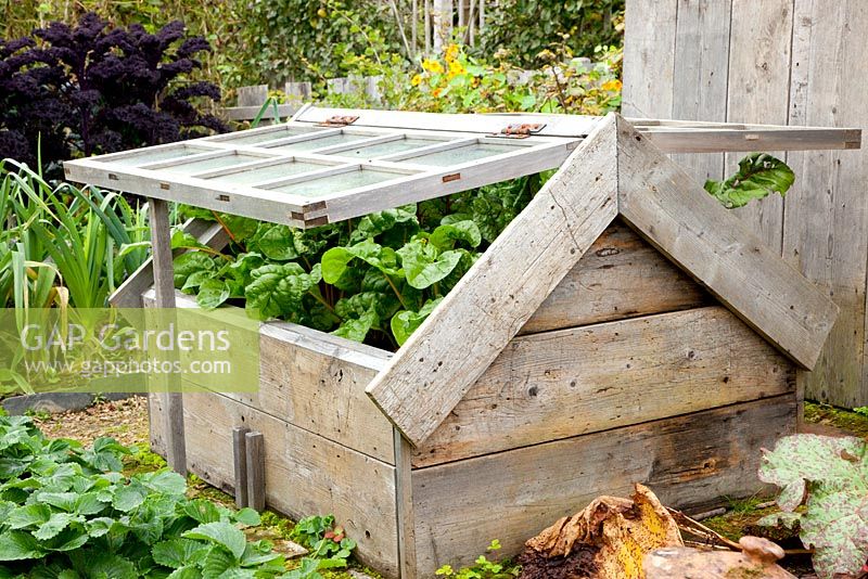 Wooden coldframe with vegetables 
