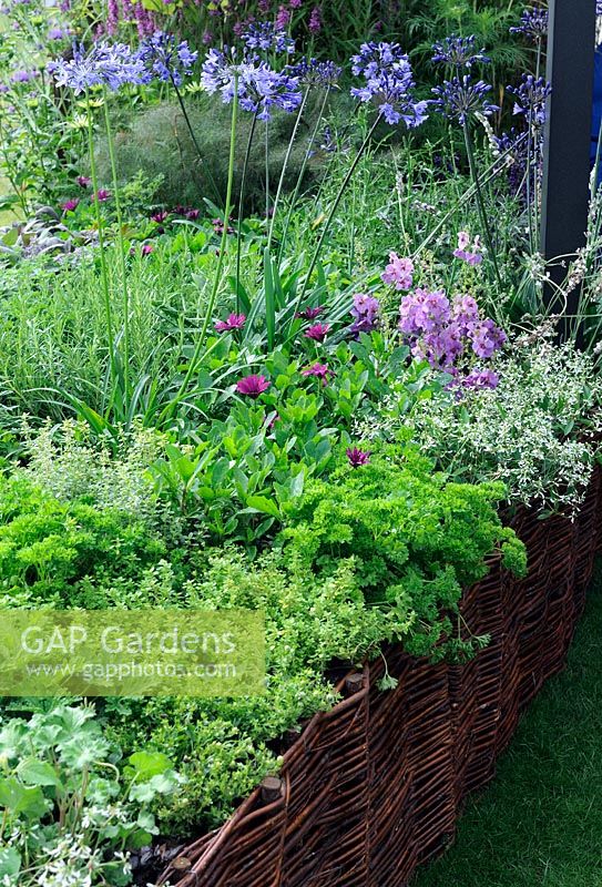 Raised Herb bed with woven willow edging