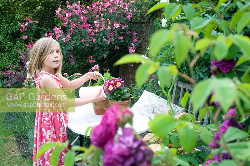 Young girl watering Dahlia in pot with jug