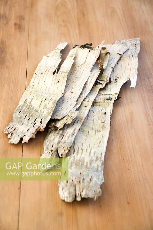 Making Christmas decorations from Silver Birch bark - 1. Sheets of flattened bark