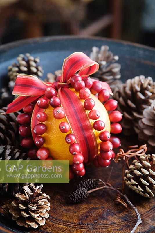 Making a Cranberry and Orange pomander for Christmas - finished pomander in a dark wood bowl with pine cones