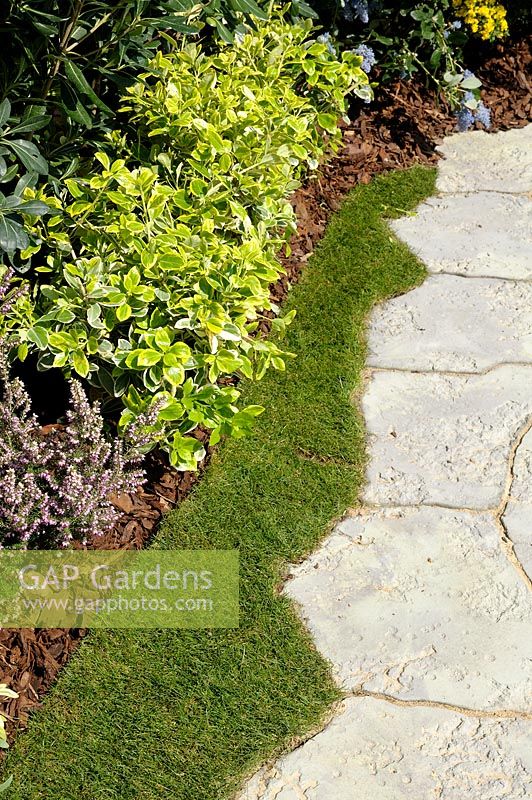 Detail of curvy clipped lawn edging a pathway