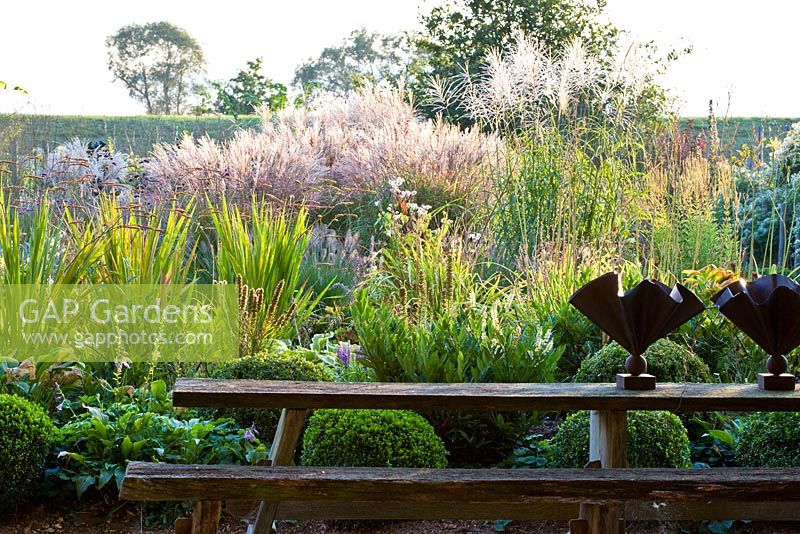 A wooden bench with two metal objects in front of the ornamental grass border that stands in full flower containing Buxus, Campanula, Crocosmia, Hosta, Miscanthus sinensis, Prunus laurocerasus and Veronicastrum virginicum