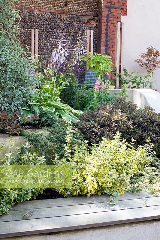 Tiered planting with retaining walls in small modern garden