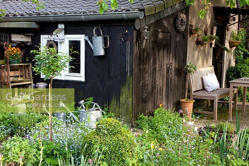 Wooden shed with collection of watering cans