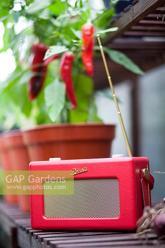 Garden radio in greenhouse