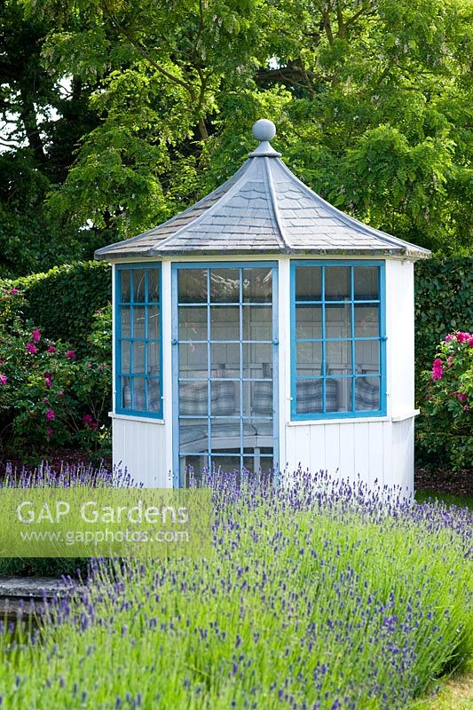 Blue and white summerhouse with lavender