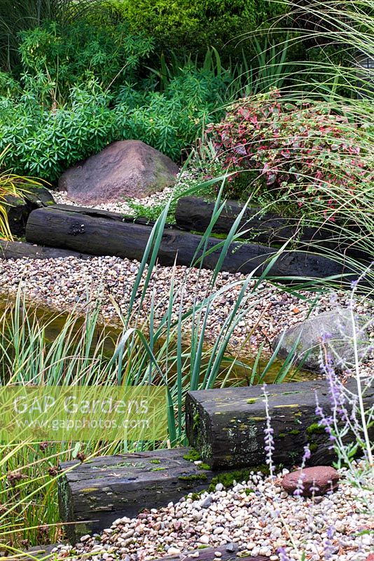 Railway sleepers edging borders with Houttuynia cordata 'Chameleon' and grasses