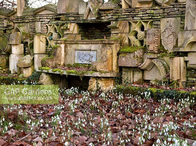 Snowdrops and the 'Wall of Gifts' in the Stumpery, Highgrove Garden, February 2011. 