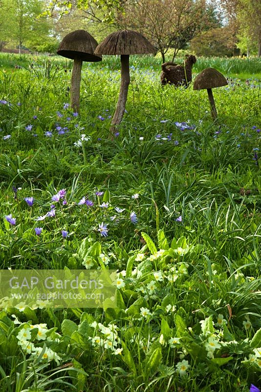 Wooden toadstool sculpture and spring flowers in the Stumpery, April 2010.