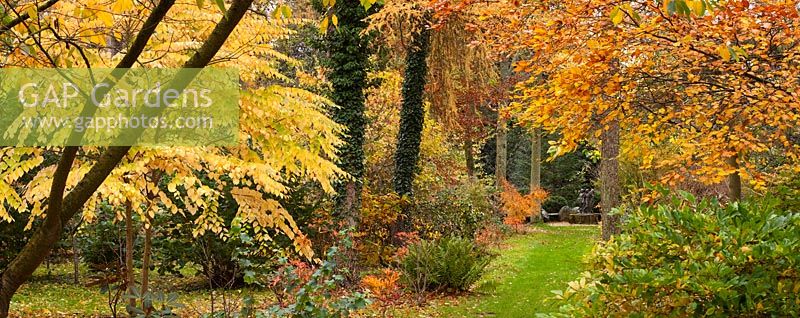 Autumn colours, Highgrove Garden, November 2010