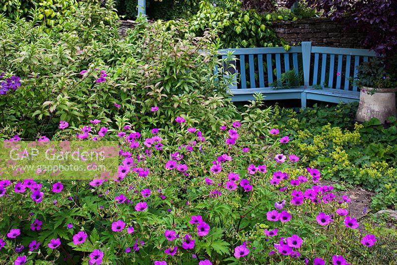The Cottage Garden with blue bench, Highgrove Garden, June 2011. 