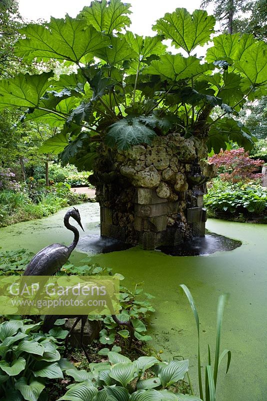 The Water Feature in the Stumpery with Gunnera (Giant South American Rhubarb), Highgrove Garden, August 2007. The water feature is made of Hereford red sandstone and Spanish limestone.   