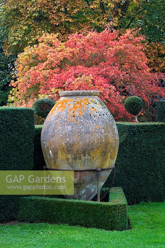 Large Spanish sherry Jar, Meditteranean garden with and acer and autumn foliage. Highgrove Garden, October 2007.