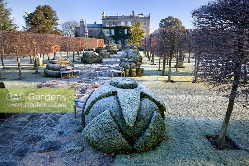 Thyme Walk and the House in frost, Highgrove Garden, December 2008.   