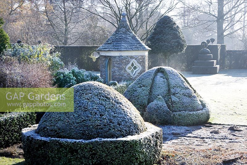 Winter frost, Highgrove Garden, December 2008.     